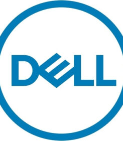DELL 161-BBPH interne harde schijf 4 TB 7200 RPM 3.5" NL-SAS