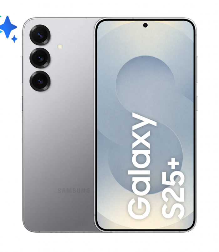 Samsung Galaxy S25+ 17 cm (6.7") Dual SIM Android 15 5G USB Type-C 12 GB 256 GB 4900 mAh Grijs