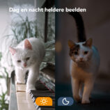 101789461_1335871244