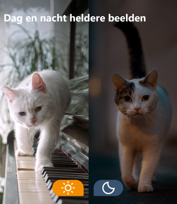 101789461_1335871244
