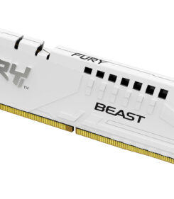 Kingston Technology FURY Beast 16GB 6000MT/s DDR5 CL30 DIMM White EXPO