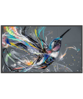 Philips 32BDL3511Q/00 beeldkrant Digitaal A-kaart 81,3 cm (32") 350 cd/m² Full HD Zwart 18/7